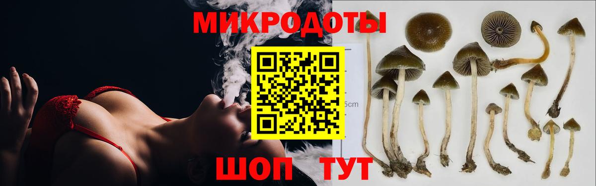 Галлюциногенные грибы MAGIC MUSHROOMS Крымск