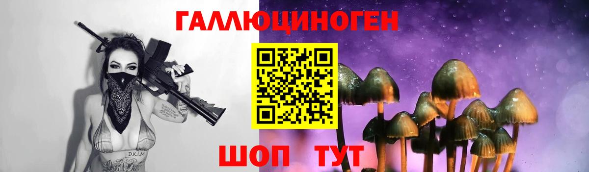 Галлюциногенные грибы MAGIC MUSHROOMS  Галлюциногенные грибы Psilocybe  Крымск  Вход с VPN 
